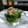 ぽっぽぺぺ's cooksnap of when they made 簡単♡ピーマンとおくらのおかか醤油炒め.