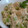 ワッキーウッキー's cooksnap of when they made 枝豆の白和え.