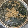 yama_miu's cooksnap of when they made 焼肉屋さんのワカメスープ♪.