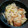ゆっきぃりんご's cooksnap of when they made 白菜ともやしのおかか柚子胡椒和え☆.