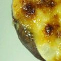 さぁﾏﾑ's cooksnap of when they made しいたけ 美味しい食べ方.