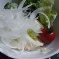 ユーロン's cooksnap of when they made 新玉ねぎのサラダ.