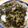えっつえっつ's cooksnap of when they made カブの葉っぱで常備菜.