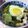 fuzzy's cooksnap of when they made シロナの目玉閉じ.