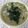 Nanna8716's cooksnap of when they made 冬のダイエットに☆きのこの味噌おじや.