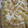 taisho0805's cooksnap of when they made タラモとーすと♪.