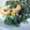 ゆう★、's cooksnap of when they made ほうれん草のフワフワ玉子綴じ.