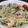 Rick_t's cooksnap of when they made おうちで簡単☆海老クリームパスタ.