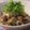 ベルラッキー's cooksnap of when they made 牛肉のみぞれあえ.