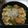 荒井みぃたろ's cooksnap of when they made えびと豆腐の中華あんかけ.
