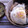 むちmuchiko's cooksnap of when they made 旨い・速い・簡単　のり玉丼.