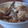 nekoinusa's cooksnap of when they made ごぼうときのこの炊き込みご飯.