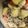 チャウダーとケント's cooksnap of when they made ル・クルーゼDEほっこり肉じゃが.