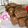 PARNELL's cooksnap of when they made ★ココアクッキー★簡単サクサク大人味♪.