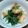 ルナ628's cooksnap of when they made 速攻☆水菜のお浸し.