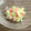 きらきら☆★'s cooksnap of when they made ✽スイカの皮でお漬物✽.
