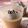 Risoa 51's cooksnap of when they made キャラメルコーヒープリン.