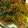 lucida's cooksnap of when they made かぼちゃのごま味噌和え。.