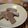 akamatka's cooksnap of when they made ｢おわらのかた板｣!?小豆せんべい.
