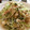 memi0312's cooksnap of when they made 豆苗とツナと春雨の和風炒め.