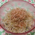 moruchama's cooksnap of when they made 簡単美味☆もやしの和風サラダ.