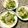 ふたごゆき's cooksnap of when they made もやしと水菜とツナの中華サラダ.