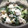 クックCP681N☆'s cooksnap of when they made アボカドと豆腐の和風サラダ(o^^o)♪.
