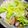 クック4PFEL4☆'s cooksnap of when they made 【一番鍋】一番だし使用♪.