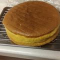 papirio's cooksnap of when they made 簡単HM材料3つ♡ふわふわスポンジケーキ.
