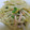 ニャンピ子's cooksnap of when they made *もやしの中華風和え物*.