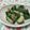 moruchama's cooksnap of when they made きゅうりの塩麹＆おかかあえ.