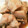 monet1203's cooksnap of when they made とろっとろ♪豚の角煮.