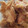 Ryomama28's cooksnap of when they made サクフワとり天♪.