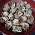 ひっこ's cooksnap of when they made サザエの下処理.