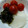 ぷりんぱ's cooksnap of when they made ミニトマトと大根の甘酢漬け.