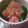volvol's cooksnap of when they made ブロッコリーのみぞれ和え.