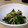 ninja1000's cooksnap of when they made しめじと小松菜のおひたし.