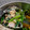 kitty_m3's cooksnap of when they made 小松菜とツナの粒マスタード和え.
