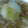 海さぁ's cooksnap of when they made 丸ごと新玉ねぎのとろとろ煮.