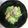 miparuru's cooksnap of when they made 春キャベツ＆油揚げ＆ツナの酢の物.