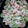 sheher's cooksnap of when they made そらまめのエビマヨ.