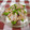 りーかる's cooksnap of when they made ✿簡単おつまみ♪しし唐のハム巻き✿.