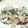 ぽろねーぜ's cooksnap of when they made ふわとろ♡たこ焼き.