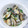 あっこ姉's cooksnap of when they made 鉄分たっぷり！２　アサリと野菜の煮浸し.