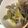 サーモンLOVE's cooksnap of when they made 野菜たっぷり★牛ごぼう.