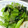 羊マイマイ's cooksnap of when they made 小松菜ちりめん和え.