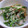 かずさか's cooksnap of when they made お弁当のすきまに★いんげんのおかかマヨ.