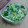 しょこたん501's cooksnap of when they made 小松菜のさっぱり梅和え.