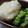 ゆりまる2011's cooksnap of when they made 離乳食・中期■ブロッコリーばなな.