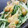 かぴーな's cooksnap of when they made 水菜と油揚げの白だし煮.